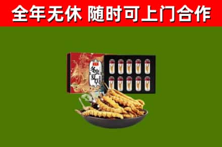 大兴安岭回收冬虫夏草价格